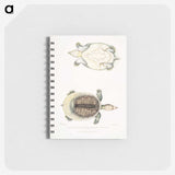 2-72_Indian-Zoology_memo