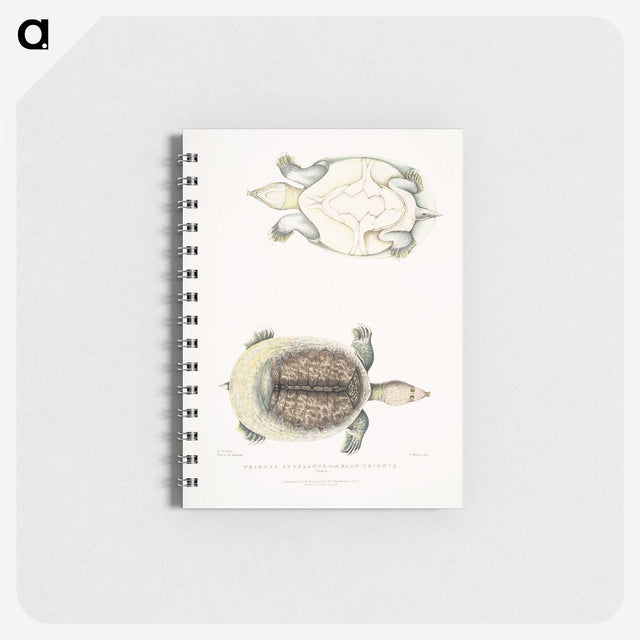 2-72_Indian-Zoology_memo