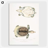 2-72_Indian-Zoology_picture-crop