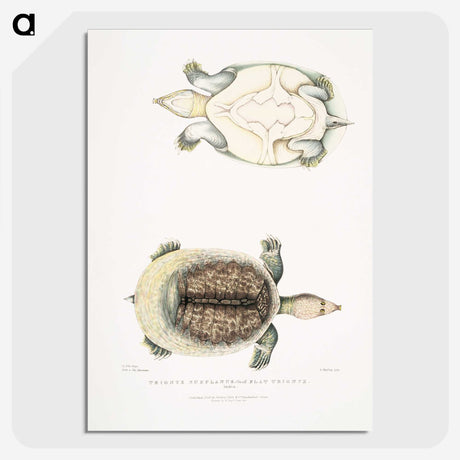 2-72_Indian-Zoology_picture-crop