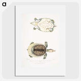 2-72_Indian-Zoology_picture