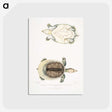 2-72_Indian-Zoology_postcard