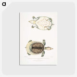 2-72_Indian-Zoology_postcard