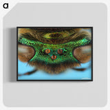 2-72_Insects-Unlocked-Project_blk-crop