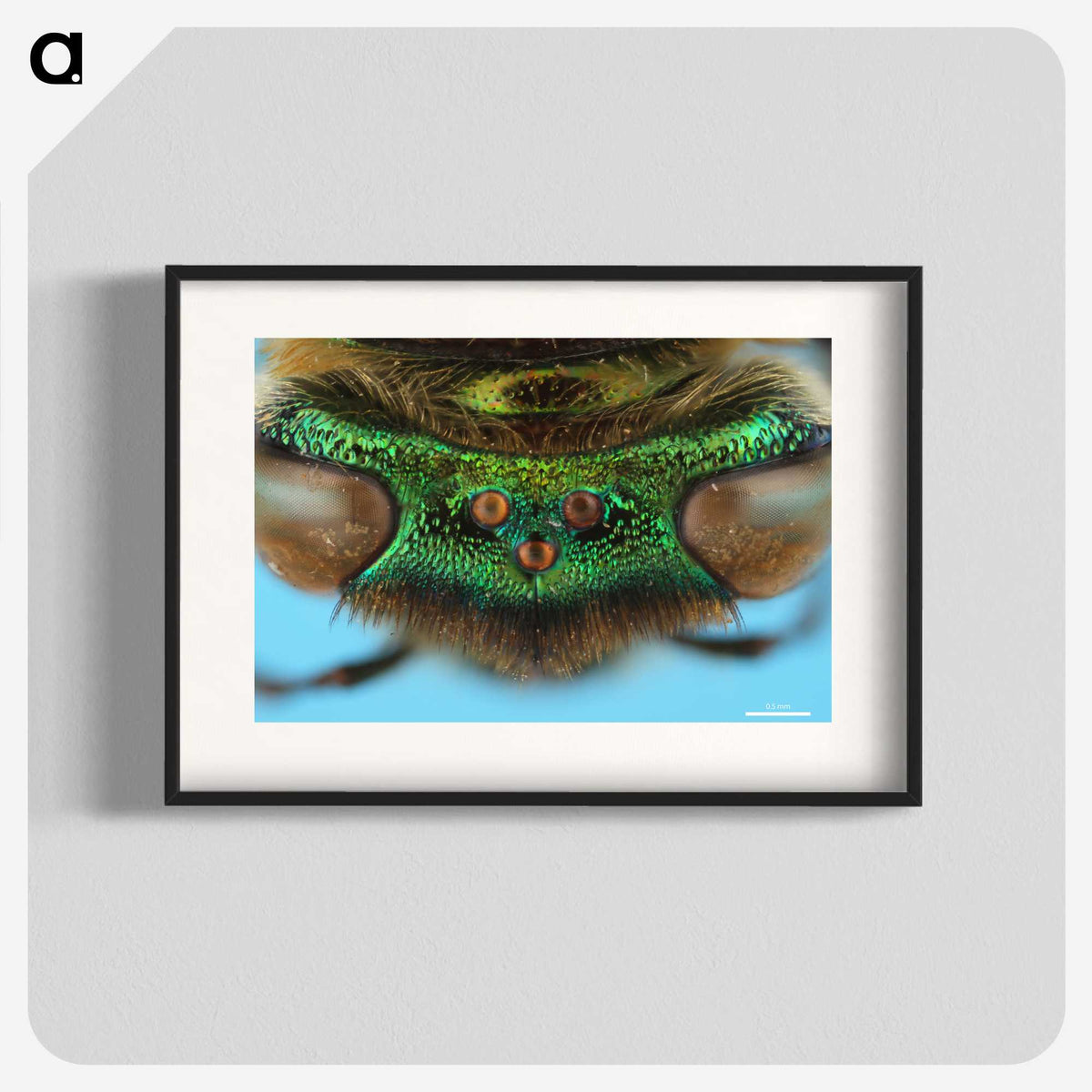2-72_Insects-Unlocked-Project_blk