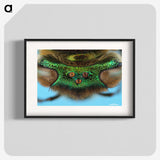 2-72_Insects-Unlocked-Project_blk