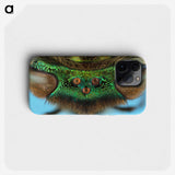 2-72_Insects-Unlocked-Project_phone