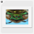 2-72_Insects-Unlocked-Project_picture