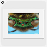2-72_Insects-Unlocked-Project_picture