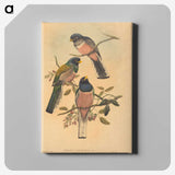 2-72_John-Gould_canvas
