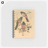 2-72_John-Gould_memo