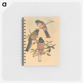2-72_John-Gould_memo