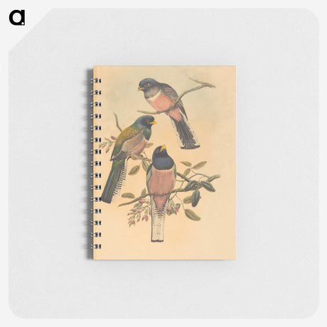 2-72_John-Gould_memo