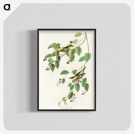 2-72_John-James-Audubon_blk-crop