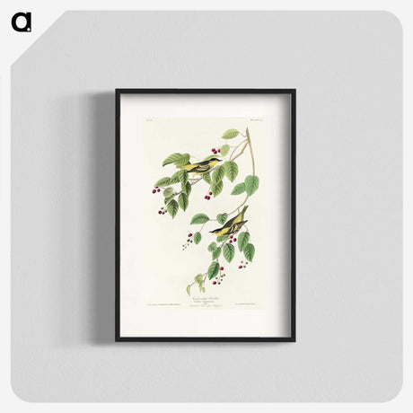 2-72_John-James-Audubon_blk