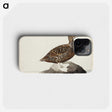 2-72_Magnus-von-Wright_phone