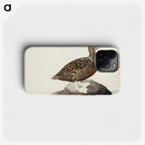 2-72_Magnus-von-Wright_phone