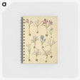 2-72_Maria-Sibylla-Merian_memo