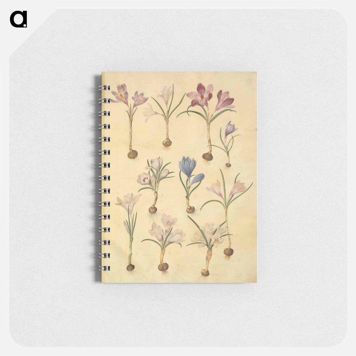 アートメモ帳-Crocus Vernus
 - マリア ジビーラ メーリアン Memo.