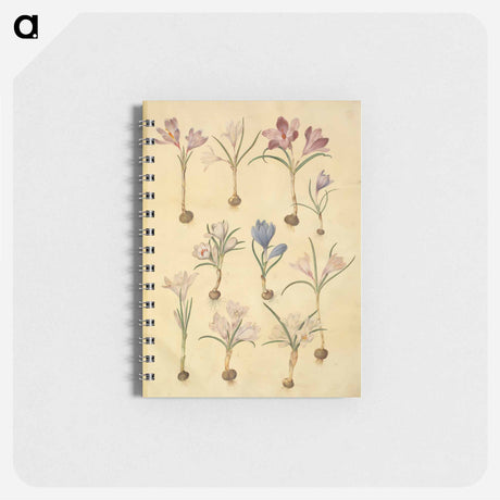 アートメモ帳-Crocus Vernus
 - マリア ジビーラ メーリアン Memo.