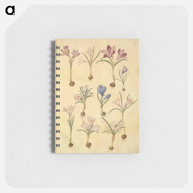 アートメモ帳-Crocus Vernus
 - マリア ジビーラ メーリアン Memo.