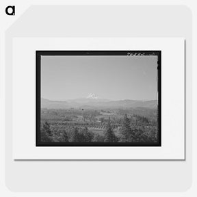 2-72_Russell-Lee_picture