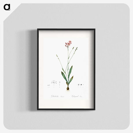 2-72_The-Lilies_blk