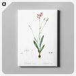 2-72_The-Lilies_canvas