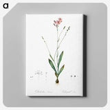 2-72_The-Lilies_canvas