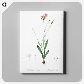2-72_The-Lilies_canvas