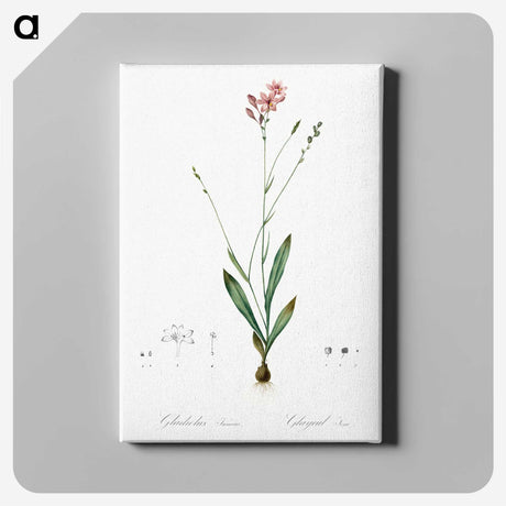 2-72_The-Lilies_canvas