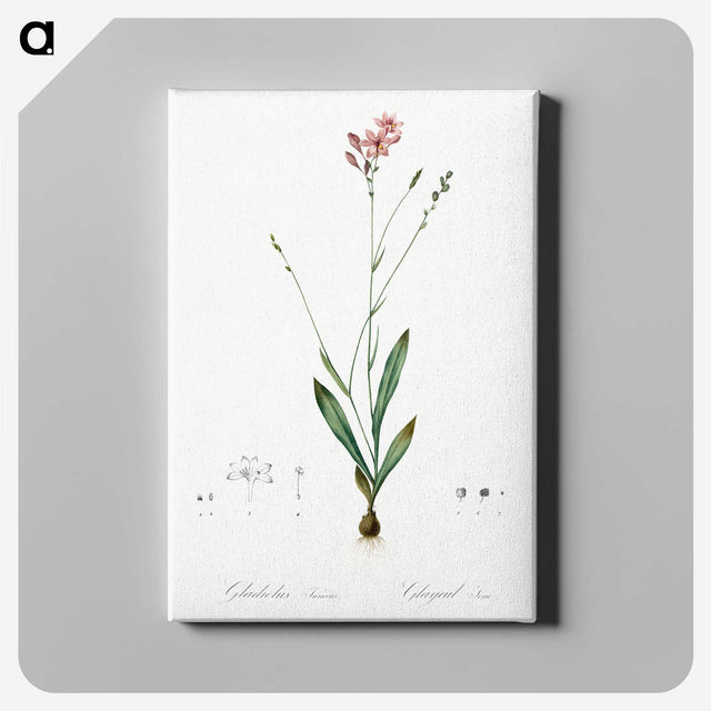 2-72_The-Lilies_canvas