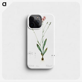 2-72_The-Lilies_phone