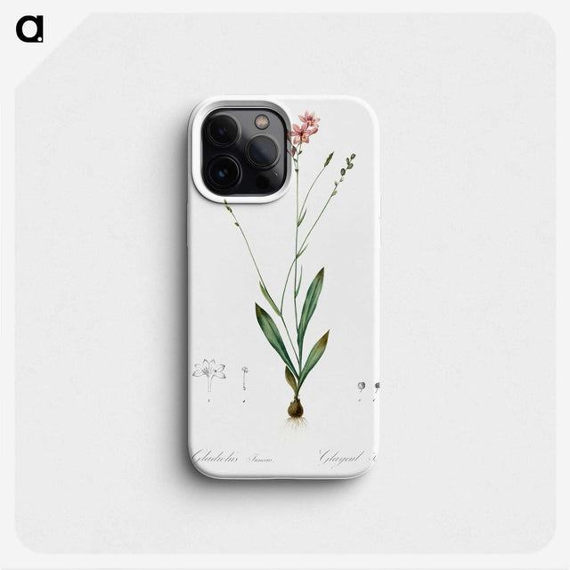 2-72_The-Lilies_phone