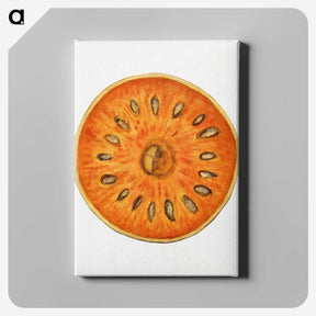 2-72_USDA-Watercolor-Fruit-Painting-Collection_canvas