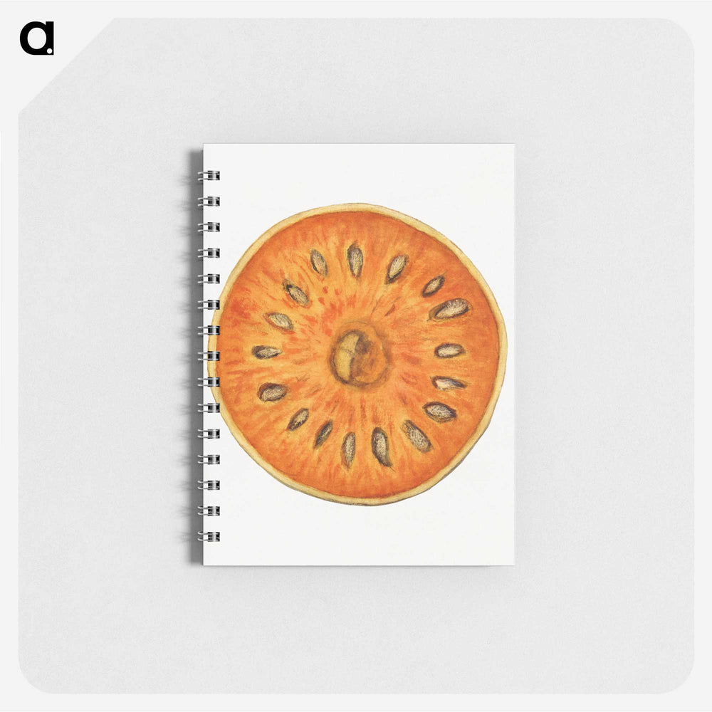 2-72_USDA-Watercolor-Fruit-Painting-Collection_memo