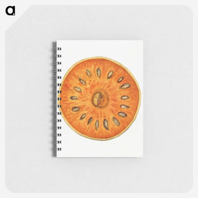 2-72_USDA-Watercolor-Fruit-Painting-Collection_memo