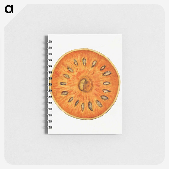 2-72_USDA-Watercolor-Fruit-Painting-Collection_memo