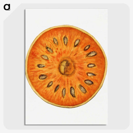 2-72_USDA-Watercolor-Fruit-Painting-Collection_picture-crop