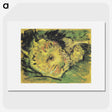 2-72_Vincent-van-Gogh_picture