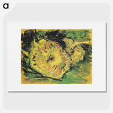 Two Cut Sunflowers - Vincent van Gogh Poster.