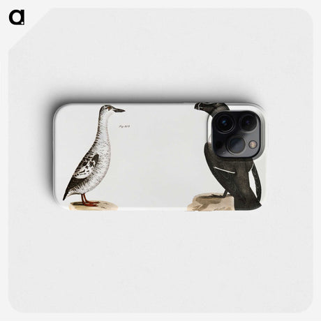 2-72_Zoology-of-New-York_phone