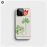 Anemoon, Anemone - アンセルムス ボエティウス デ ブート Phone Case.