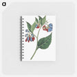 アートメモ帳-Prickley Comfrey
 - クリーブランド美術館 Memo.