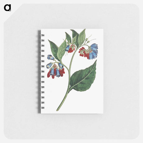 アートメモ帳-Prickley Comfrey
 - クリーブランド美術館 Memo.
