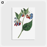アートポストカード-Prickley Comfrey
 - クリーブランド美術館 Postcard.