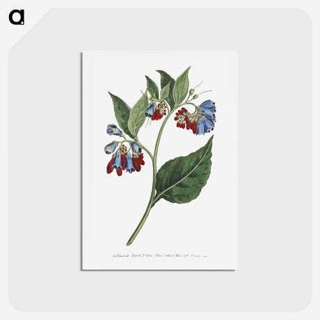 2-73_Cleveland-Museum-of-Art_hagaki
