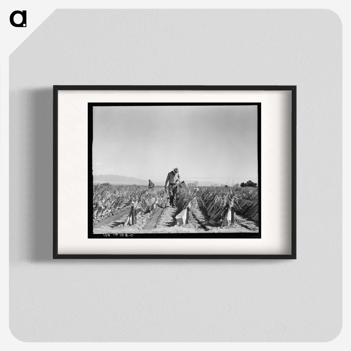 2-73_Dorothea-Lange_blk