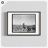 2-73_Dorothea-Lange_blk