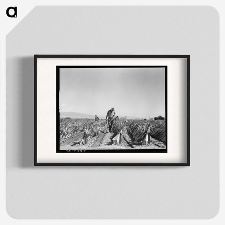 2-73_Dorothea-Lange_blk
